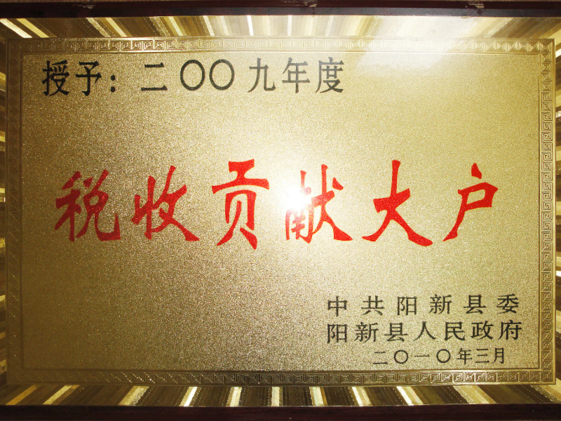 2010-稅收貢獻大戶