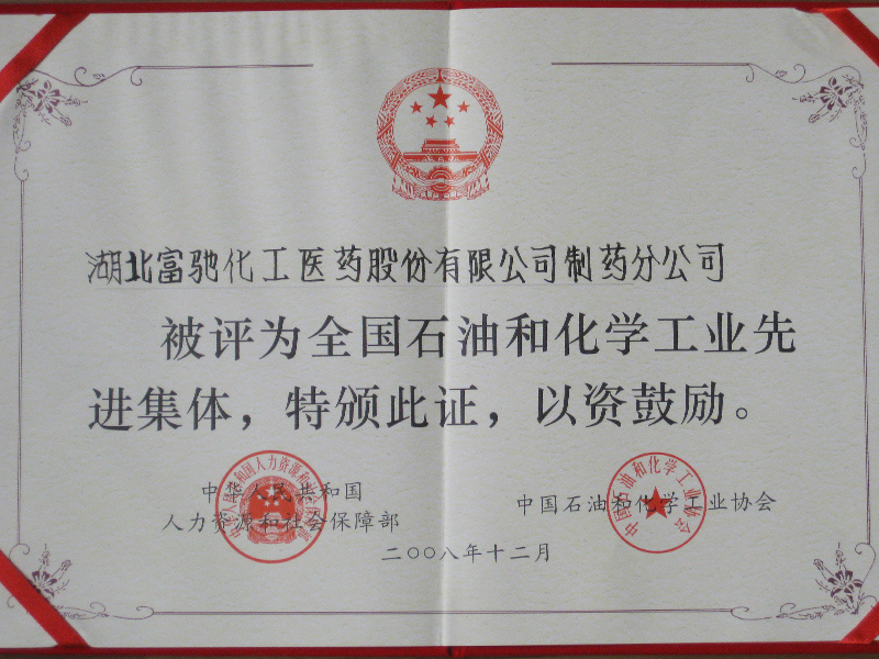 2008-全國石油和化工企業(yè)先進集體