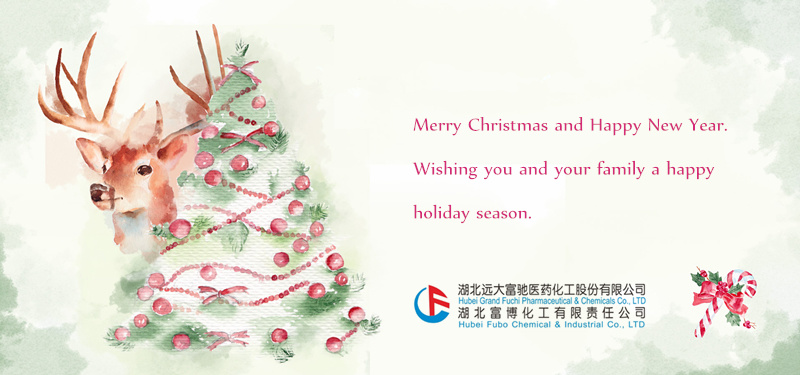 Merry Christmas and Happy New Year