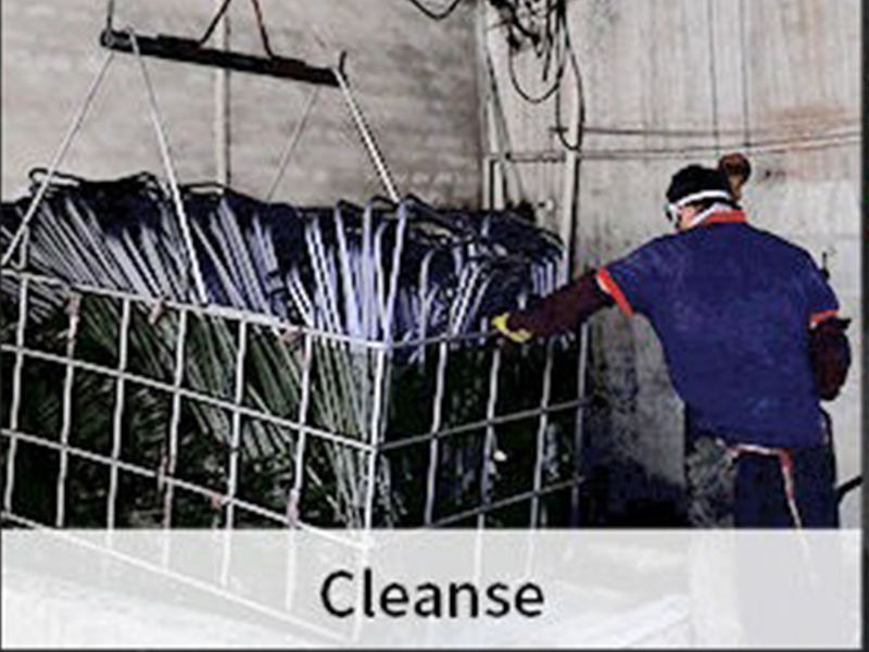 9·Cleanse