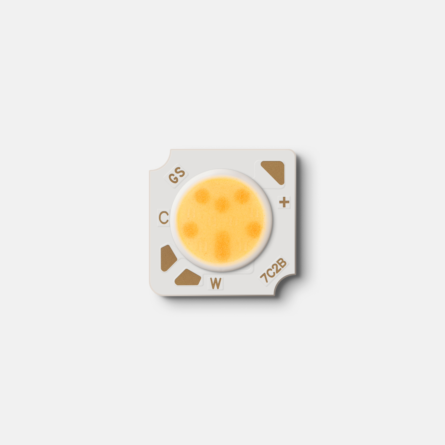 S1310C
