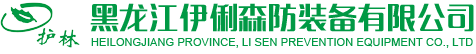 伊俐森防裝備