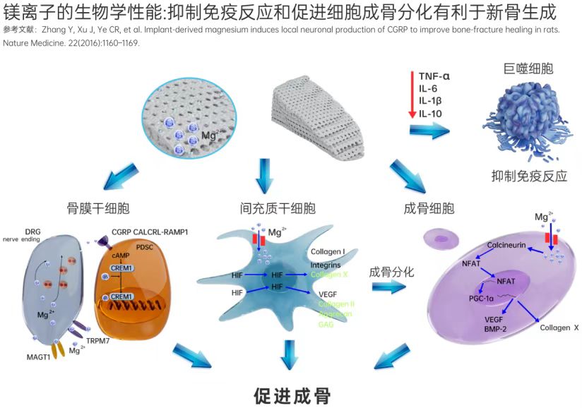 图示
AI 生成的内容可能不正确。