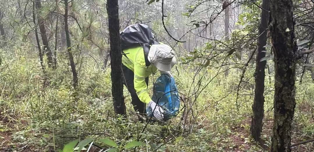 清野行动，守护初心——虎跳峡景区公司职工为高路徒步线“美容”