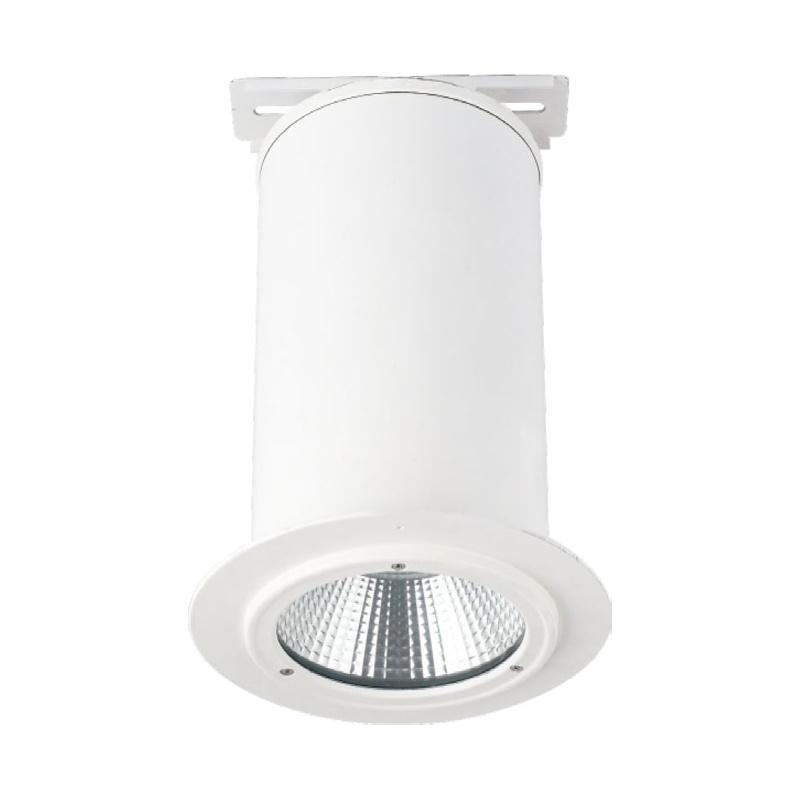 Led Downlight ELI-DL-TD185A