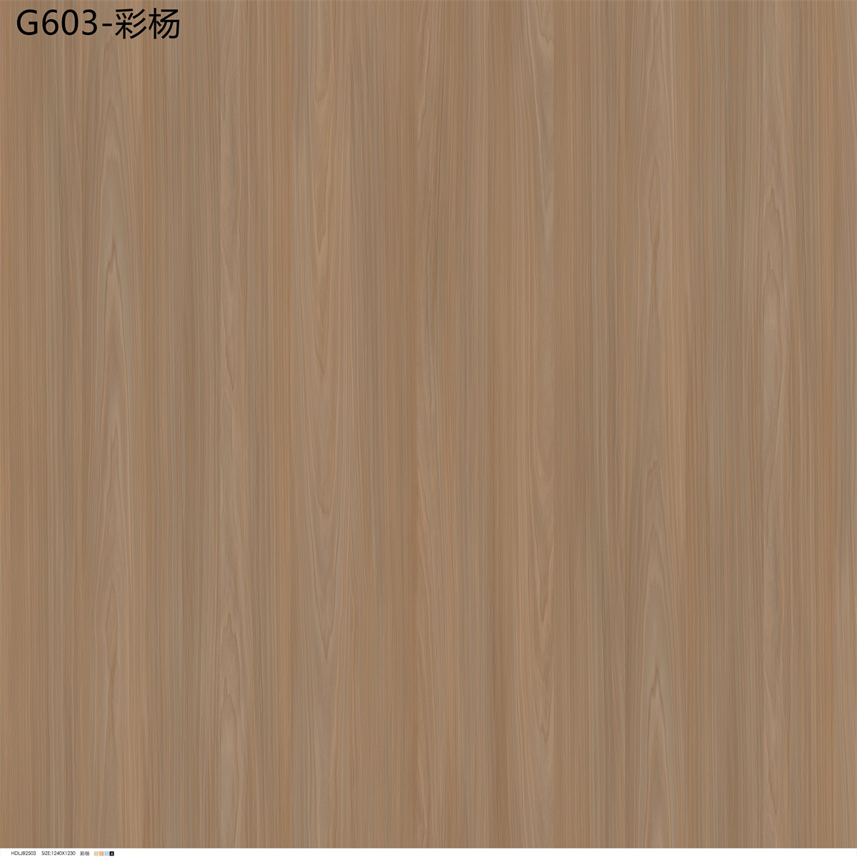 G603-彩杨