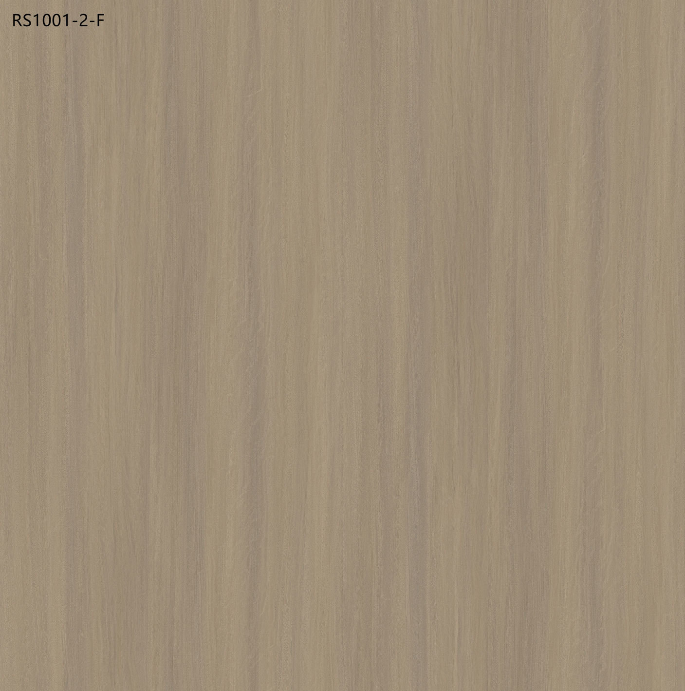 RS1001