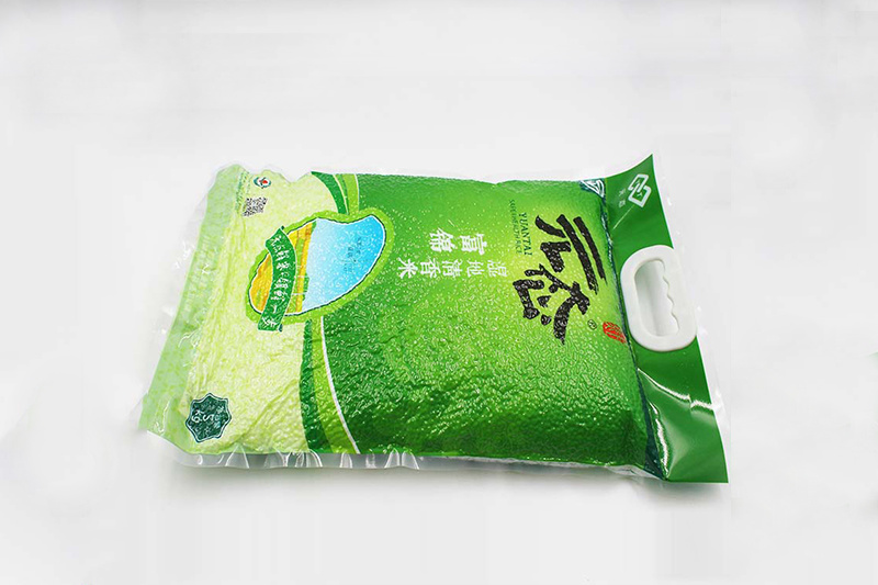 Rice Buckle Handbag