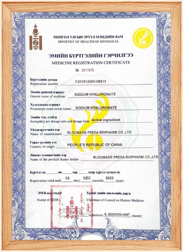 Mongolian Injection Approval Certificate