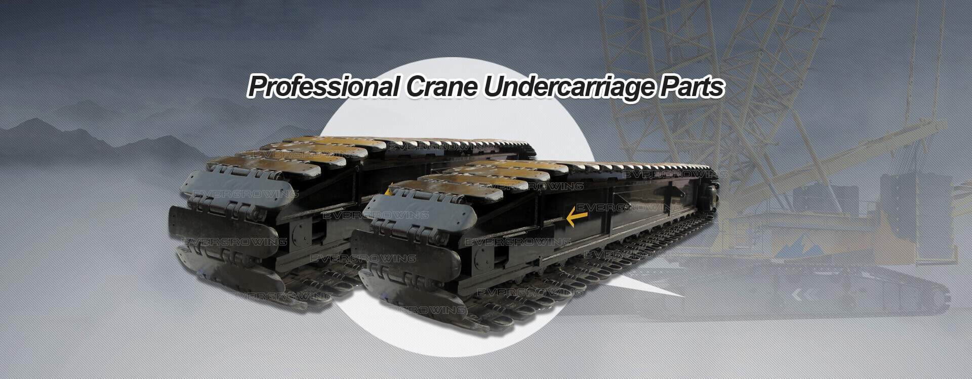 Professional crane chassis parts suppliers