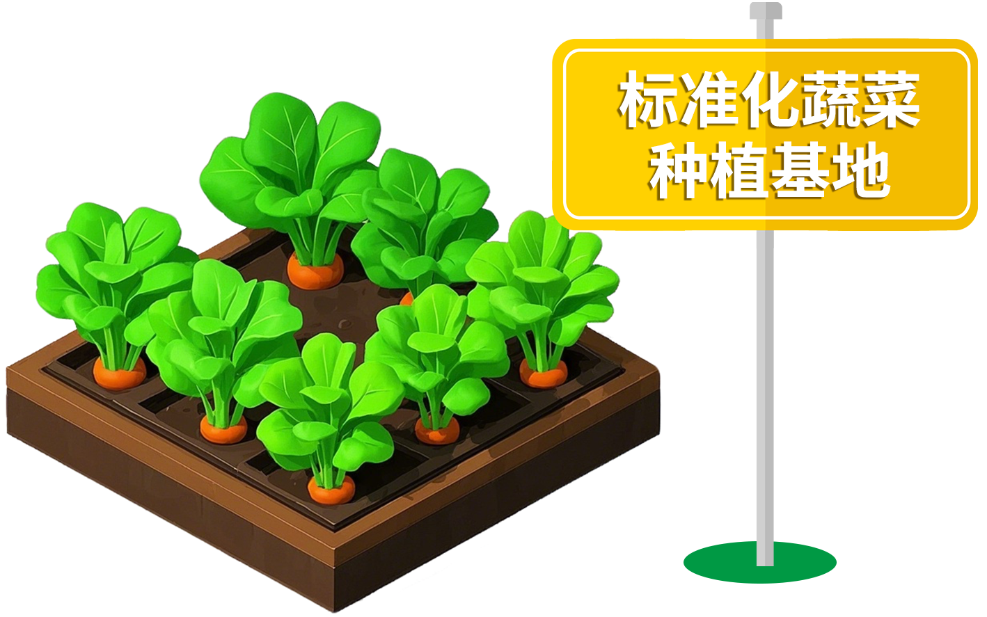 标准化蔬菜种植基地