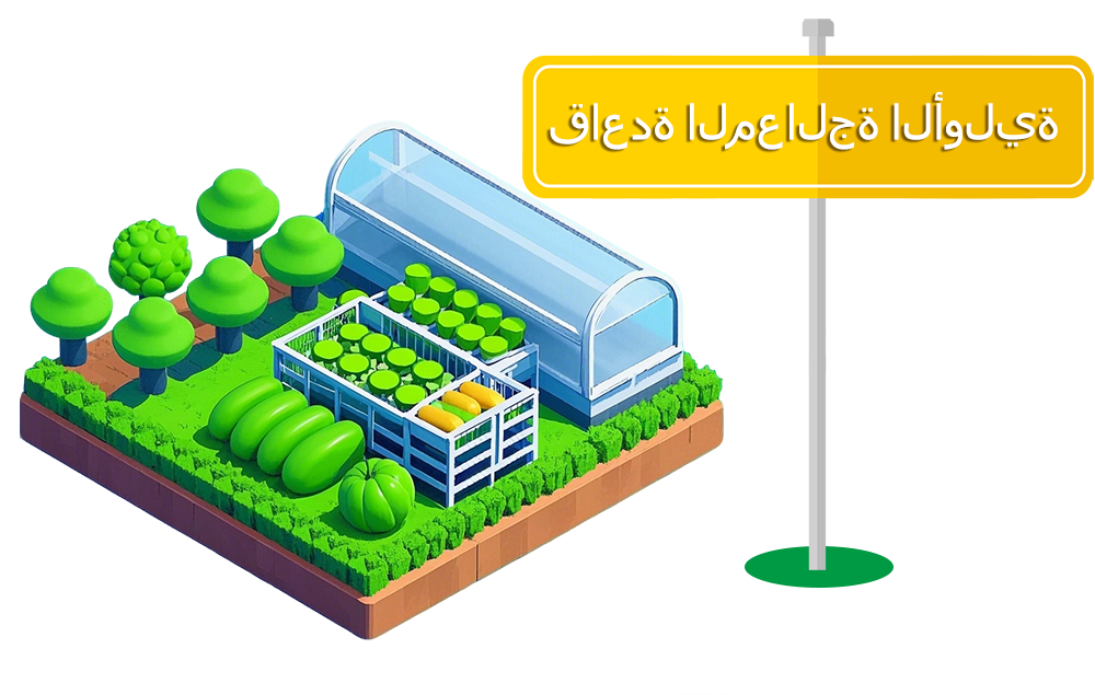 قاعدة المعالجة الأولية