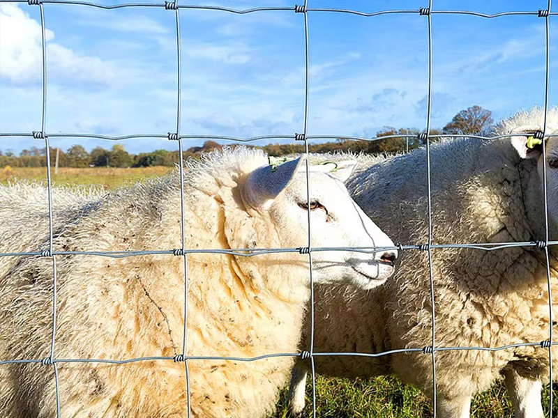 How to install a fixed knot wire fence? How to install a fixed knot wire fence?