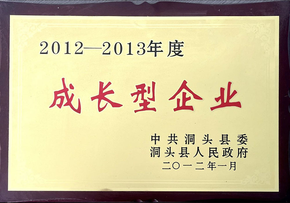 Dongtou Growth-Oriented Enterprise Certificate