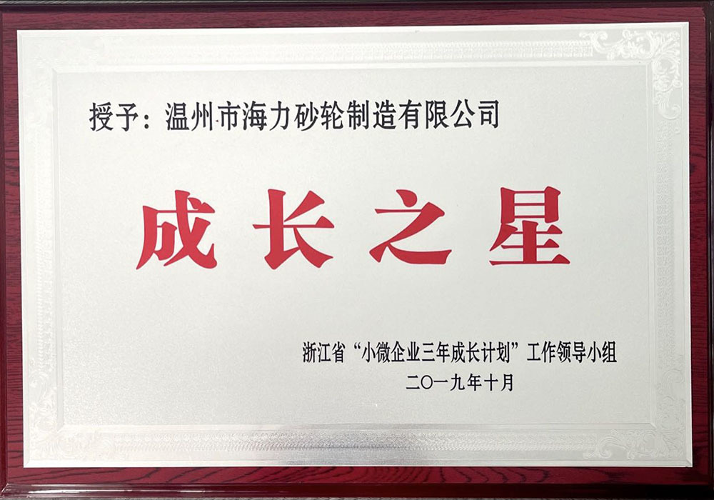 Star of Growth for Micro and Small Enterprises in Zhejiang Province
