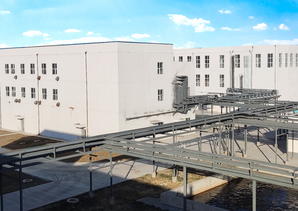 Yongbang Pharmaceutical Yongbang Pharmaceutical