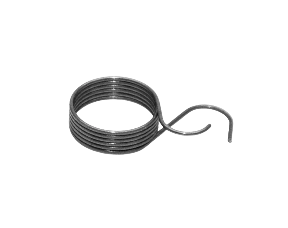 Torsion spring