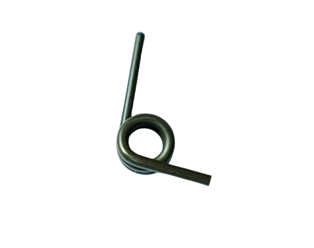 Torsion spring