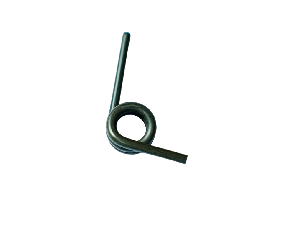Torsion spring