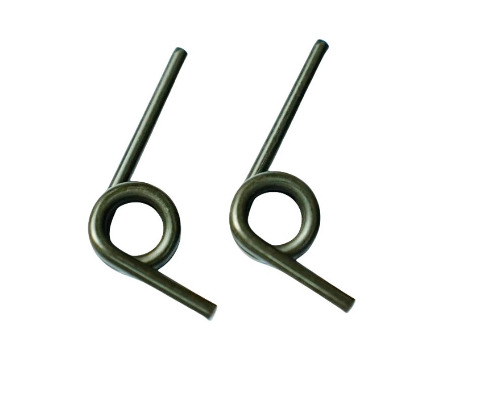 Torsion spring