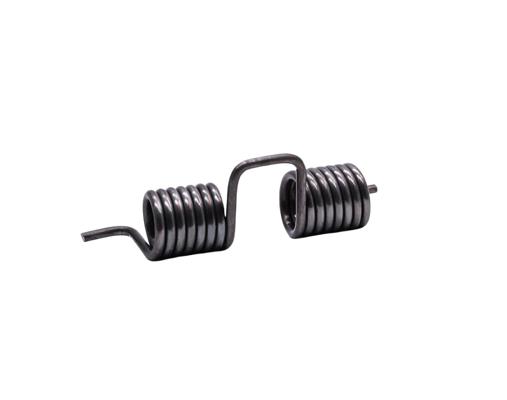 Torsion spring