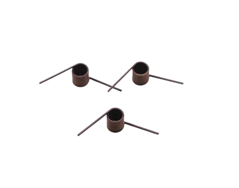 Torsion spring