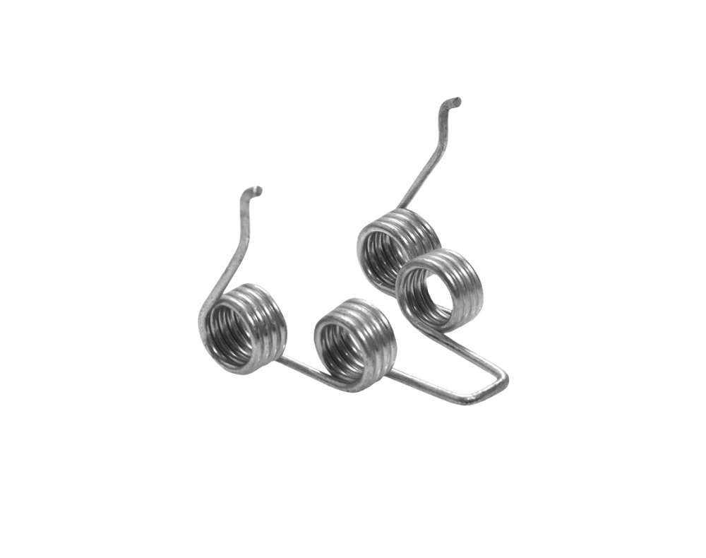 Torsion spring