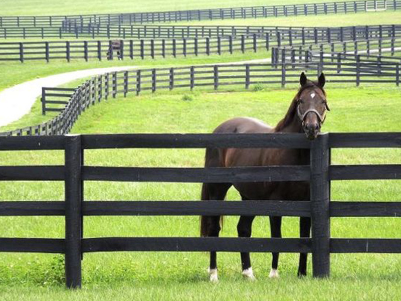 Hsj 12′ Double - Cross Buck Double Gate Kit - Includes Hinges, Latch and Drop Rod PVC Horse Fence