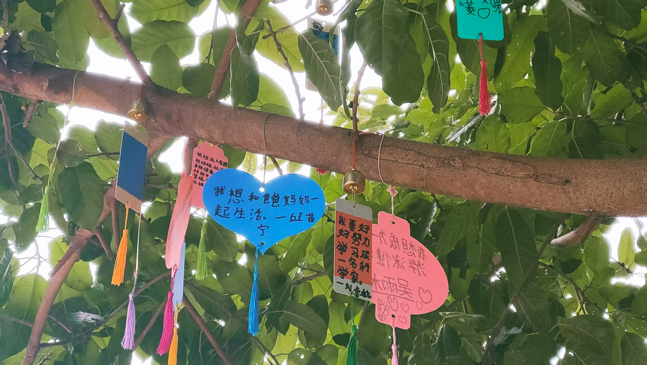 爱心筑梦