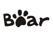 bear bear