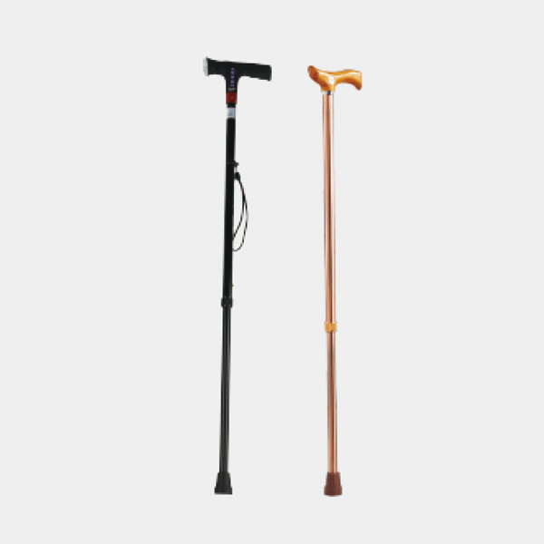 Smart Cane Series
