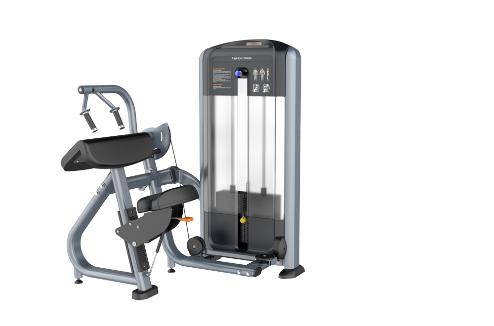 RF4028 45 Degree Triceps Extension