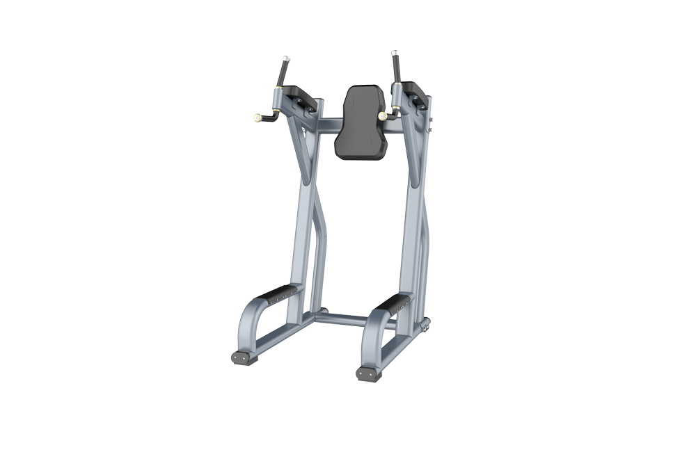 RF4047 Vertical Knee Up