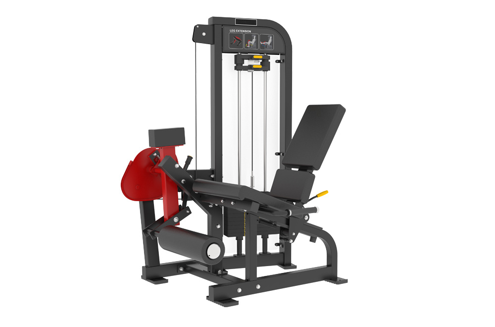 RF5013 Leg Extension