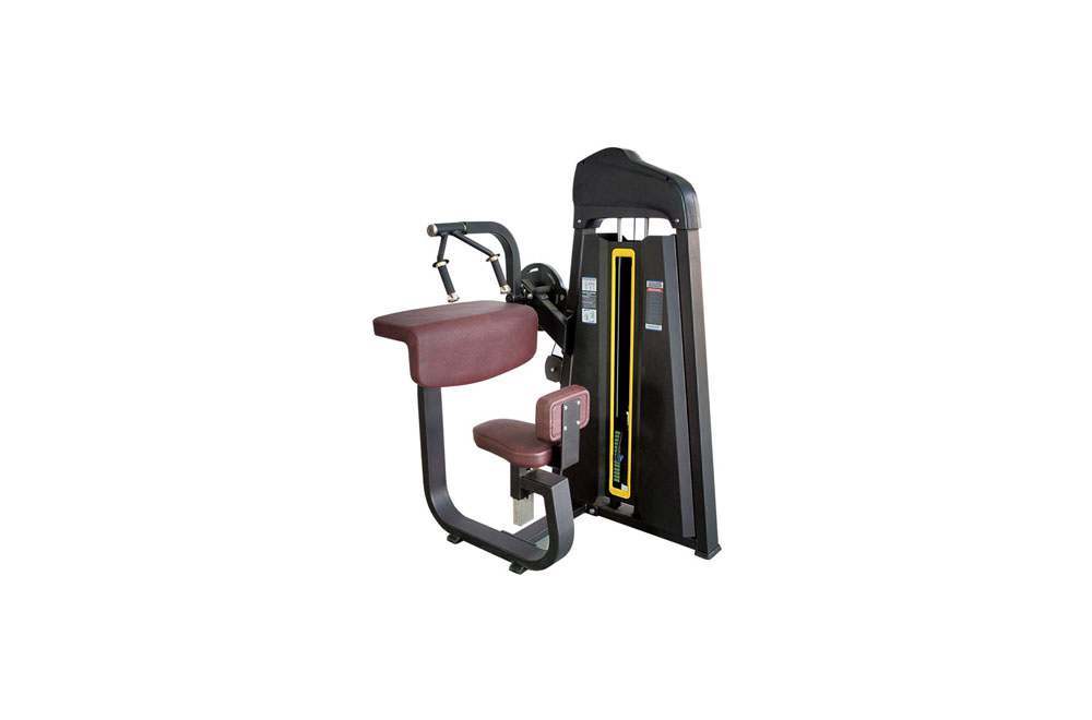 RF2027 Seated Triceps-Flat