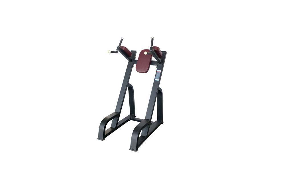 RF2047 Vertical Knee Up /Dip