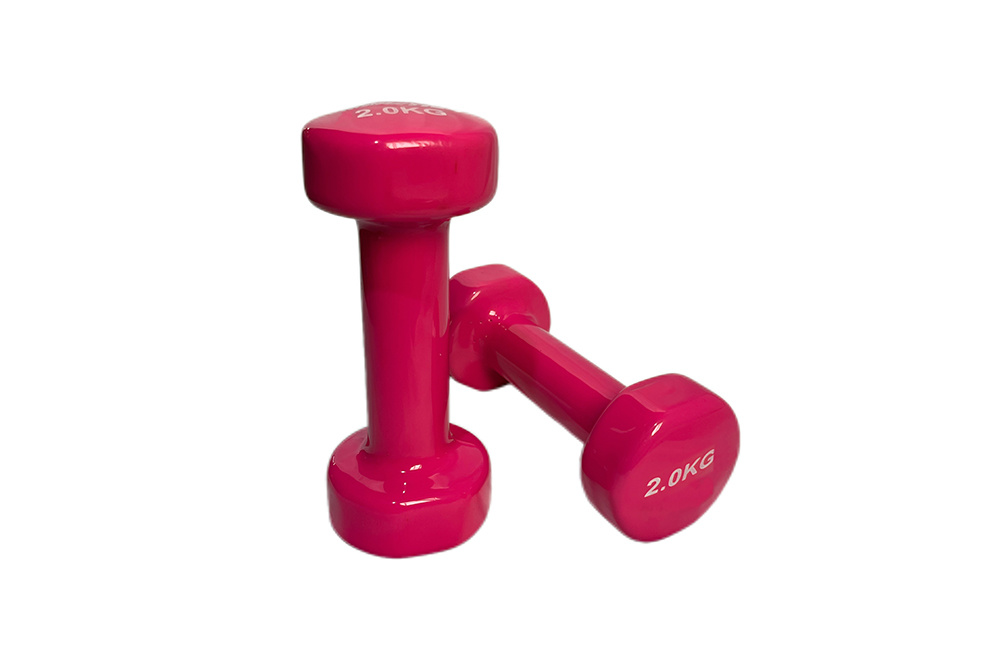 WD403 Vinyl Dipping Dumbbells