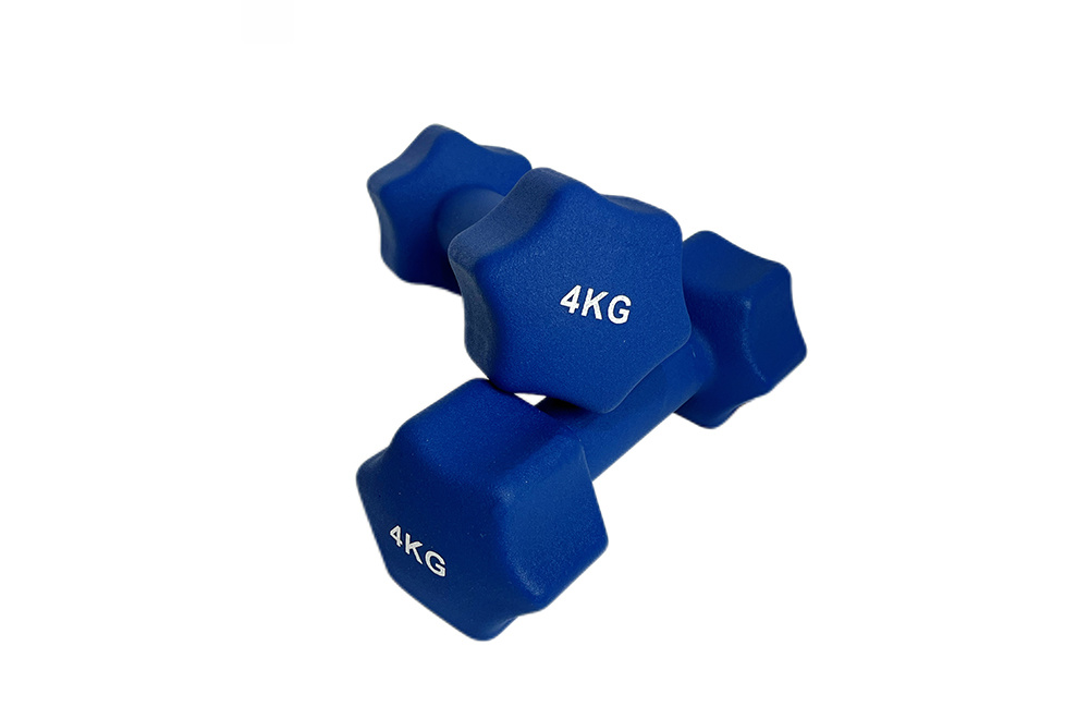 WD407 Vinyl/Neoprene Dipping Dumbbells