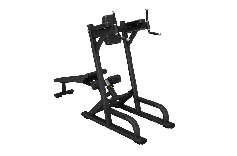 RP35 Abdominal & Knee Up/Dip