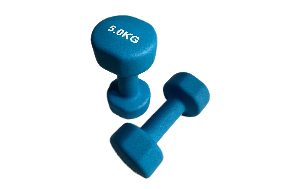 WD404 Neoprene Dipping Dumbbells