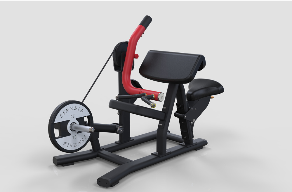 RP05 Biceps Curl