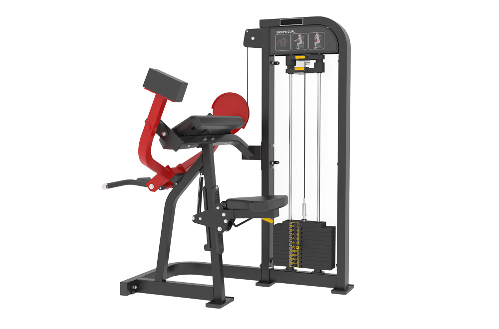 RF5009 Biceps Curl