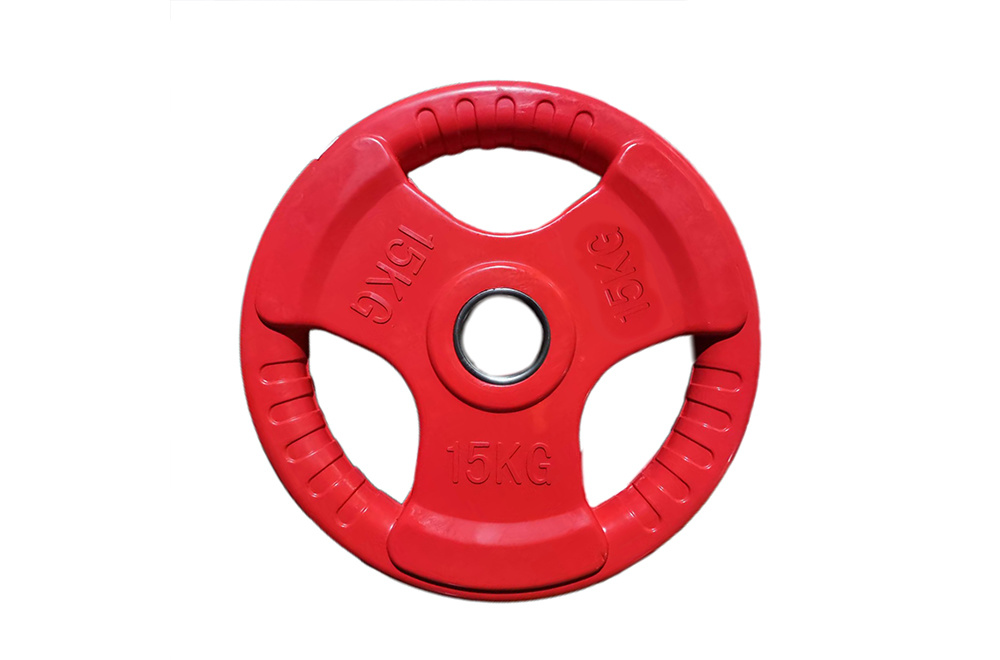 WP101 Color Rubber Weight Plate