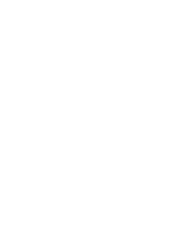 Organizational Structure