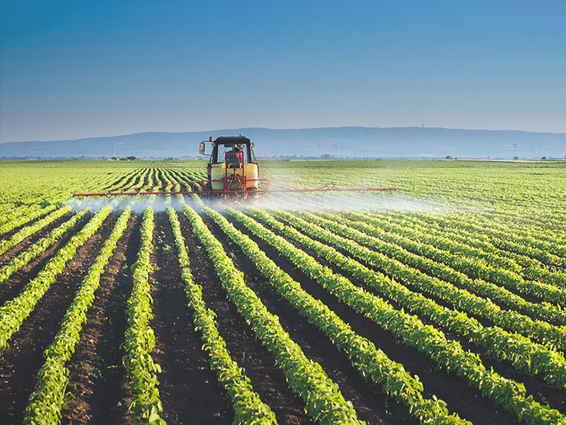 agriculture and forestry agriculture and forestry
