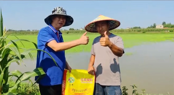 客戶見證