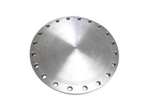 Blind flange F316