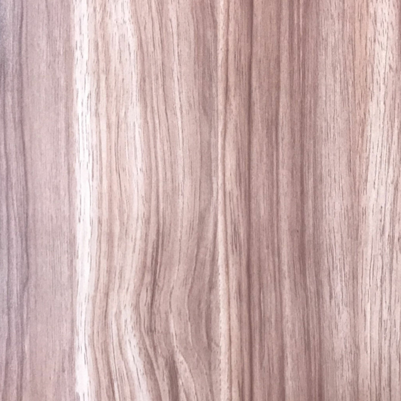 Elm