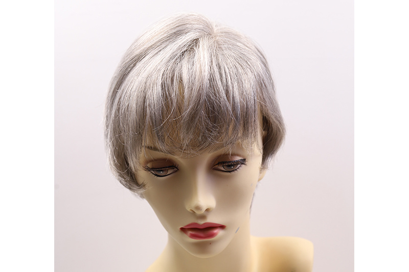 Human Hair Wigs