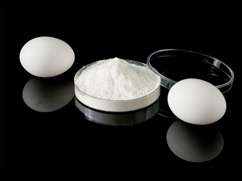 Highly active biological extraction products
